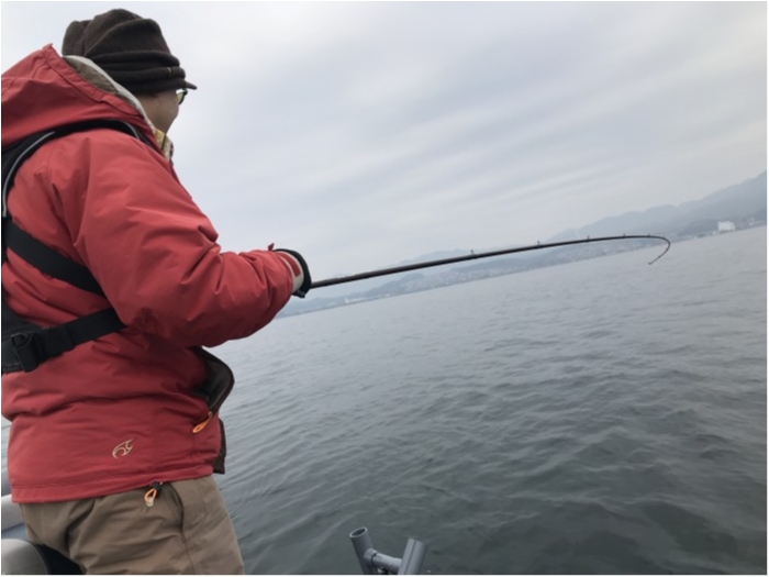 truth  ブログ写真 2020/01/12