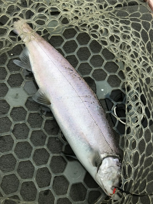 truth  ブログ写真 2020/01/12