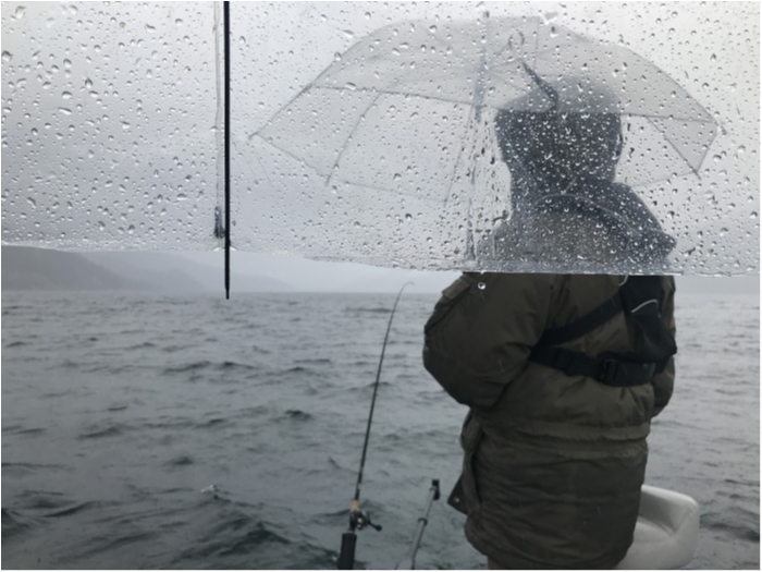 truth  ブログ写真 2020/01/13