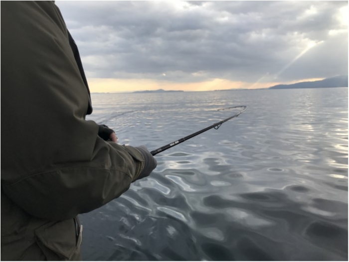 truth  ブログ写真 2020/01/13