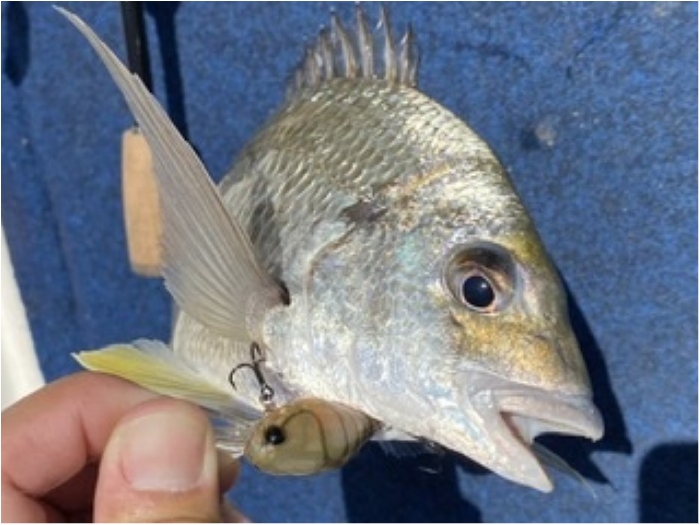 truth  ブログ写真 2020/01/21