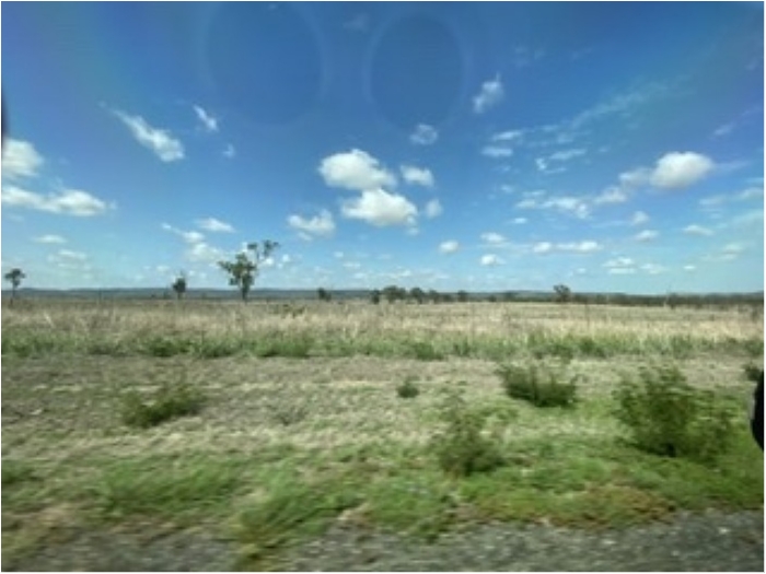 truth  ブログ写真 2020/01/22