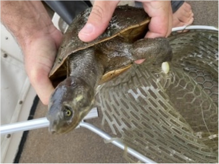 truth  ブログ写真 2020/01/22