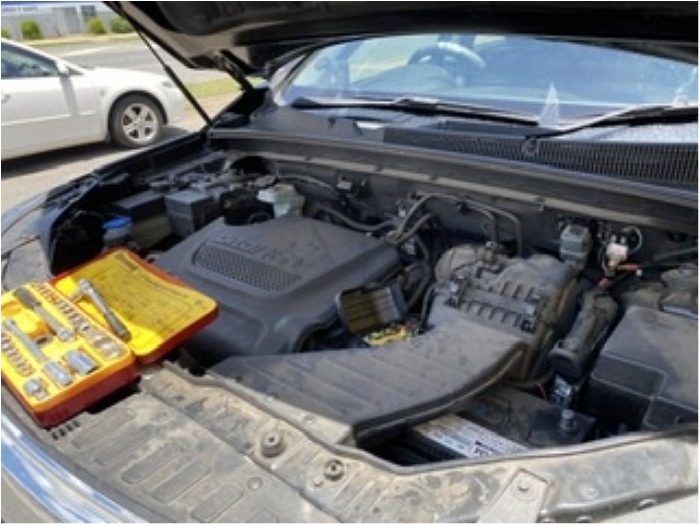 truth  ブログ写真 2020/01/23