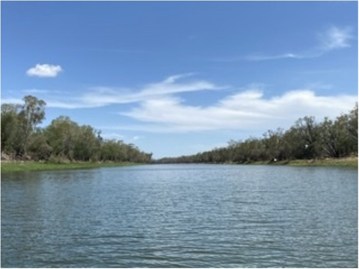 truth  ブログ写真 2020/01/23