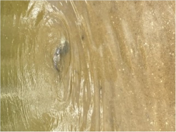 truth  ブログ写真 2020/01/23