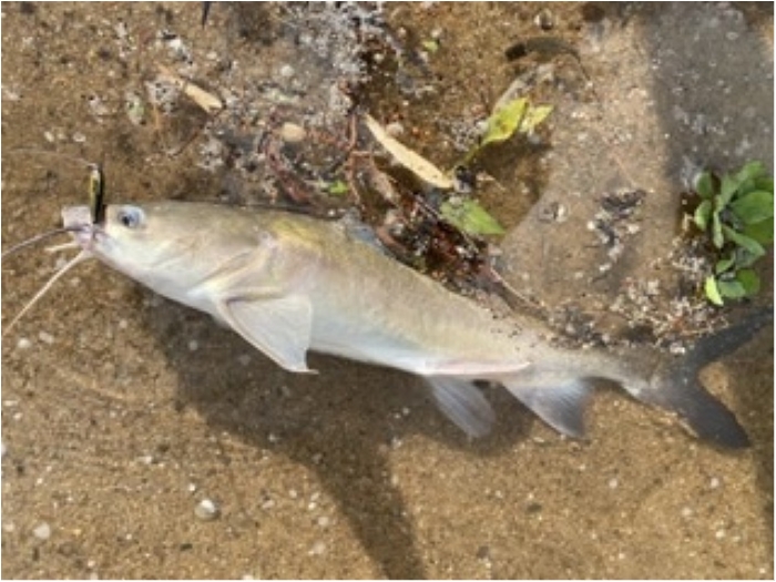 truth  ブログ写真 2020/01/23