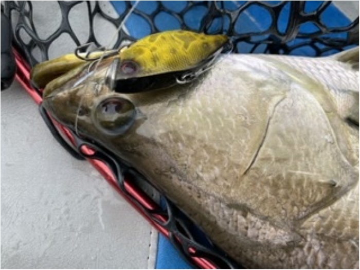 truth ブログ写真 2020/01/25