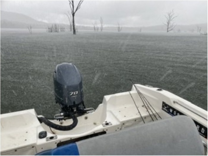 truth ブログ写真 2020/01/25