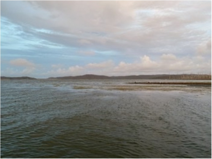 truth ブログ写真 2020/01/25