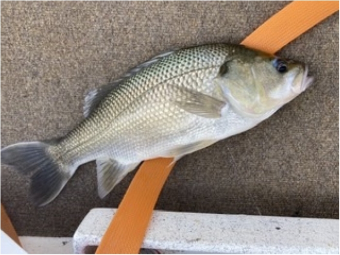 truth ブログ写真 2020/01/26