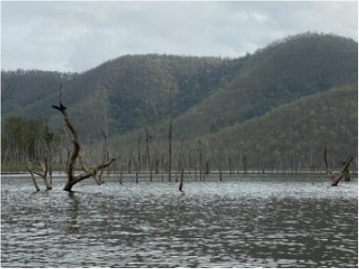 truth ブログ写真 2020/01/26