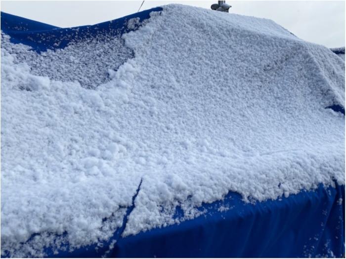 truth ブログ写真 2020/02/18