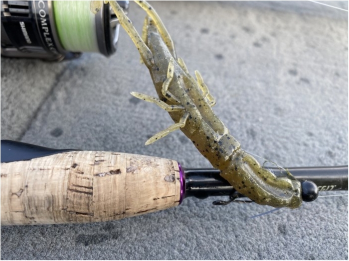 truth ブログ写真 2020/02/19