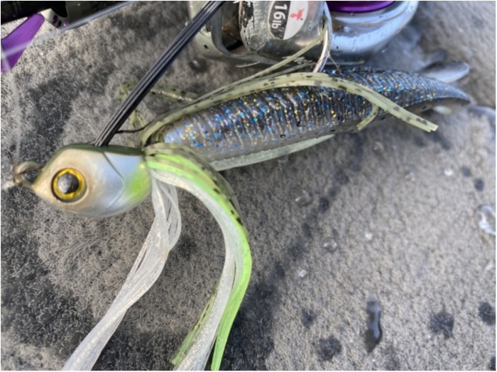 truth ブログ写真 2020/02/19