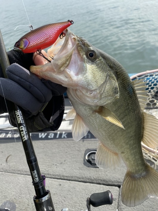 truth ブログ写真 2020/02/20