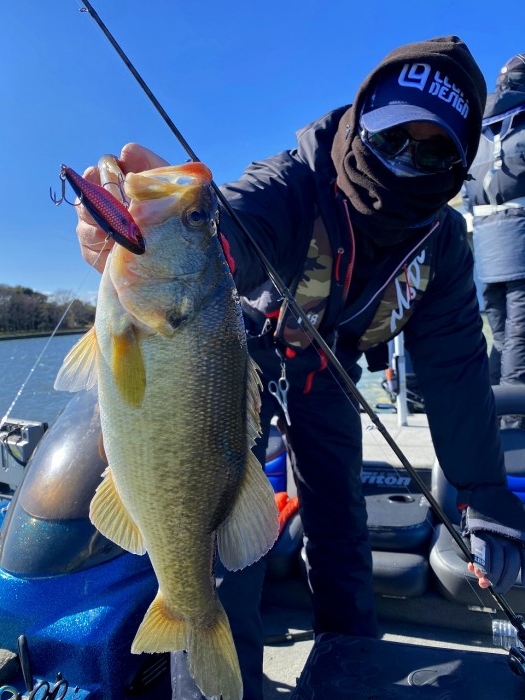 truth  ブログ写真 2020/03/06