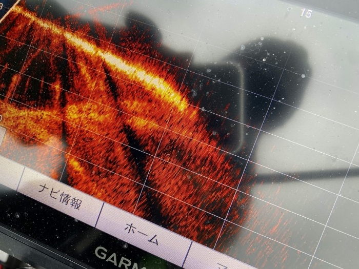 truth  ブログ写真 2020/03/07