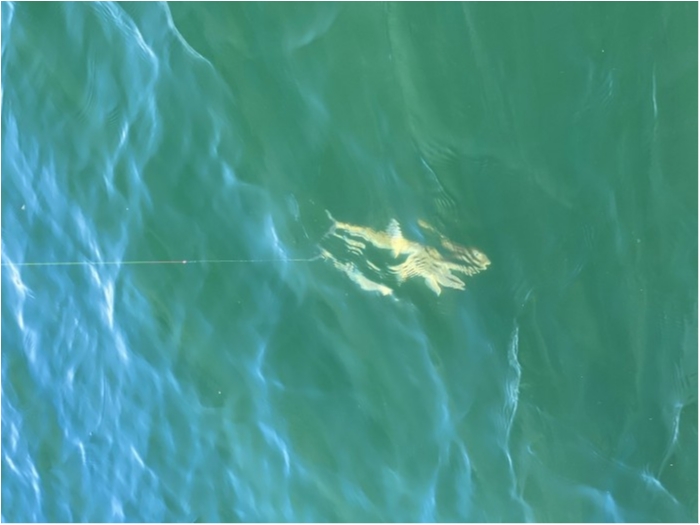 truth  ブログ写真 2020/03/07