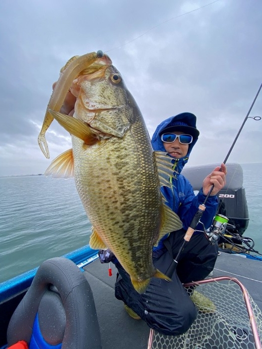 truth  ブログ写真 2020/03/10