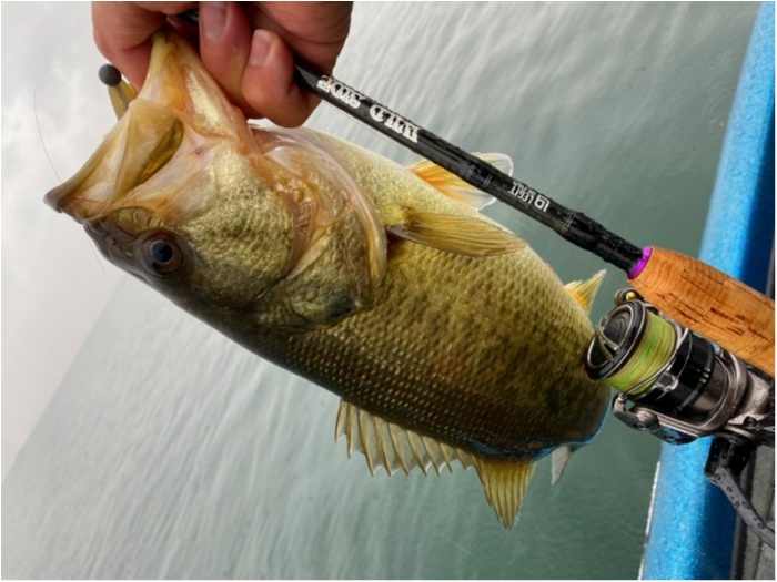 truth  ブログ写真 2020/03/10