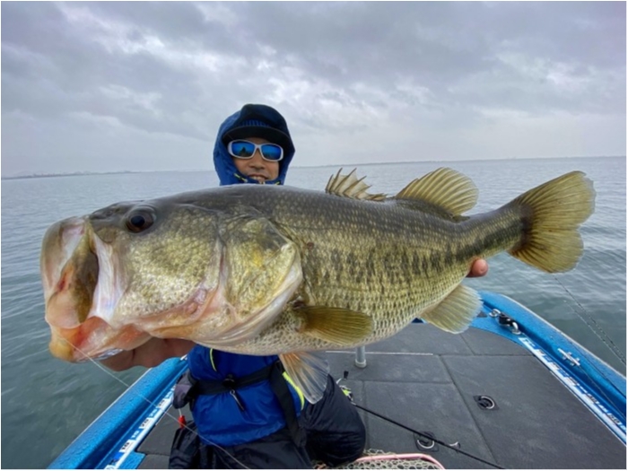 truth  ブログ写真 2020/03/10