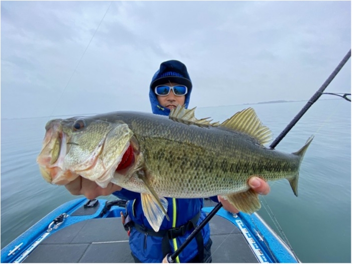 truth  ブログ写真 2020/03/10