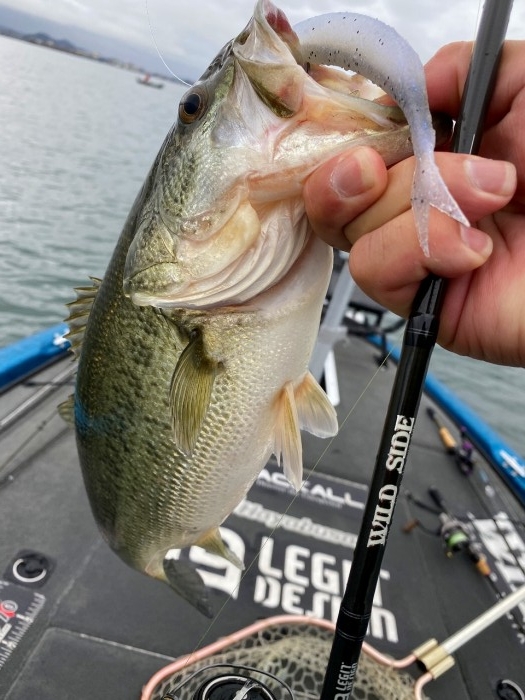 truth  ブログ写真 2020/03/10