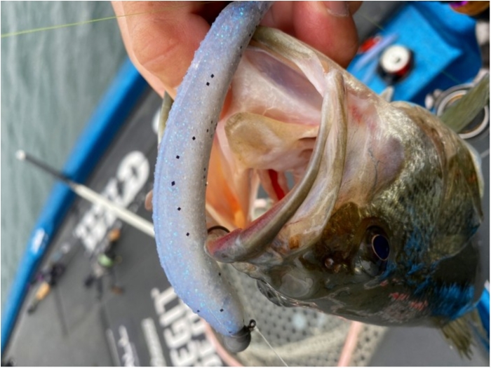 truth  ブログ写真 2020/03/10