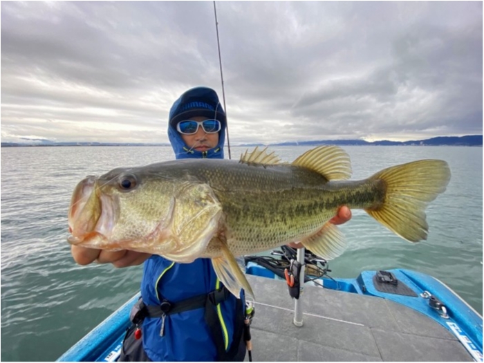 truth  ブログ写真 2020/03/10