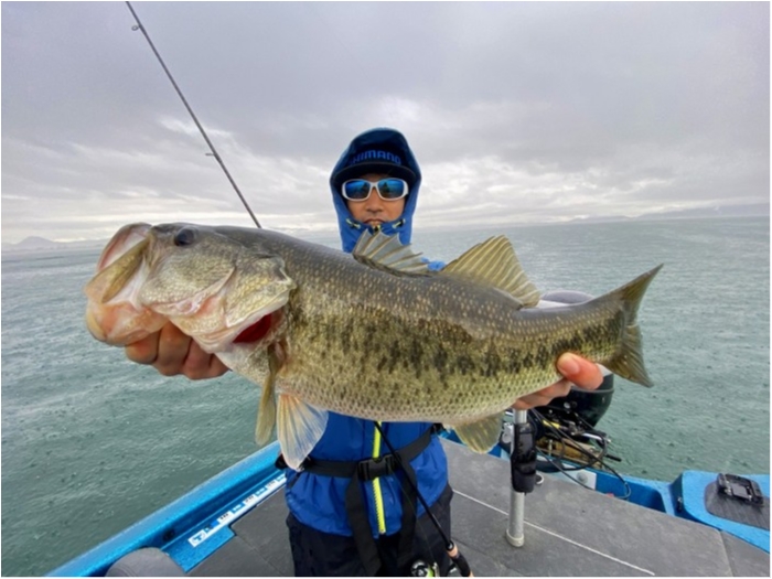 truth  ブログ写真 2020/03/10