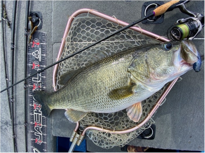 truth  ブログ写真 2020/03/11