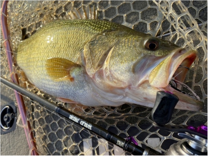 truth  ブログ写真 2020/03/13