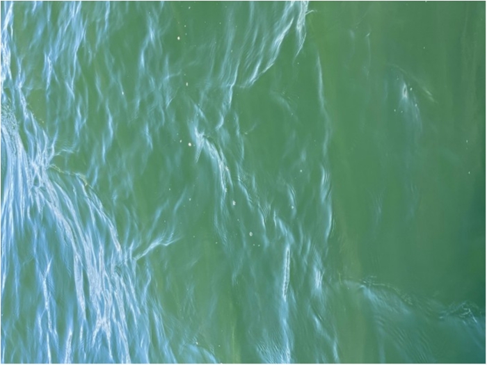 truth  ブログ写真 2020/03/13