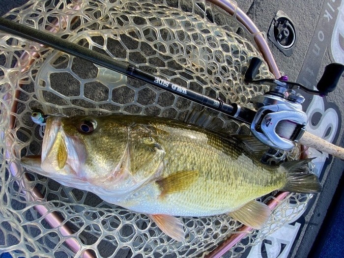 truth  ブログ写真 2020/03/13