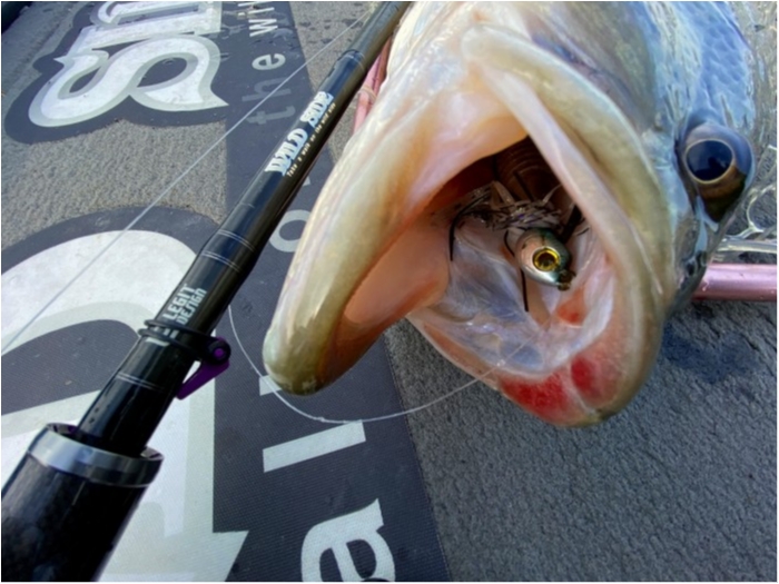 truth  ブログ写真 2020/03/13