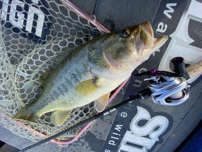 truth  ブログ写真 2020/03/13