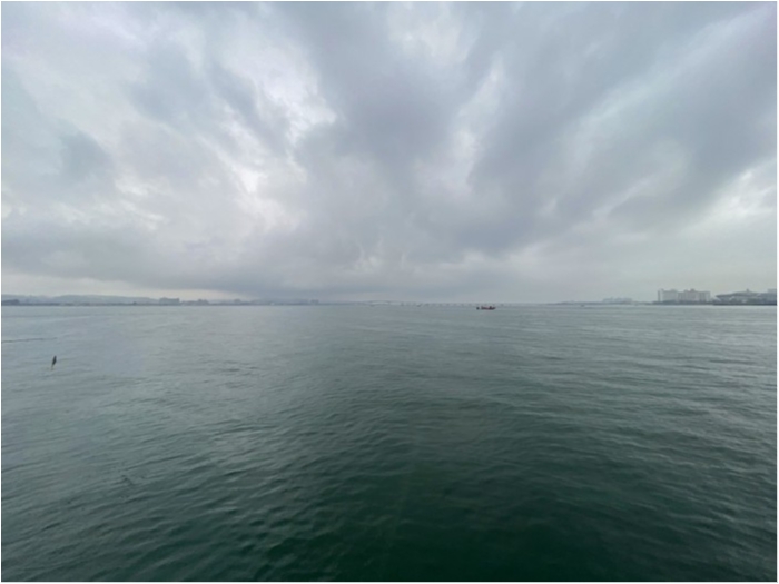 truth  ブログ写真 2020/03/14