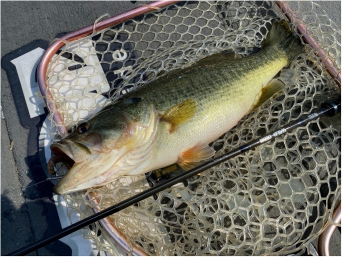 truth  ブログ写真 2020/03/17