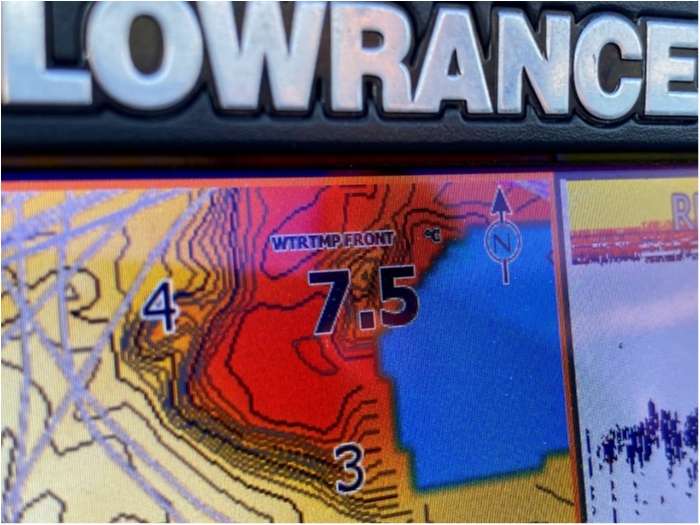 truth  ブログ写真 2020/03/17