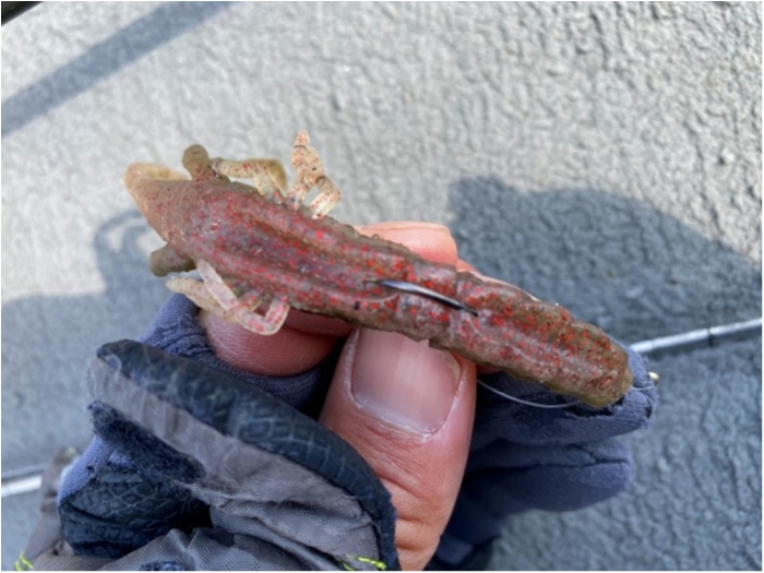 truth  ブログ写真 2020/03/17