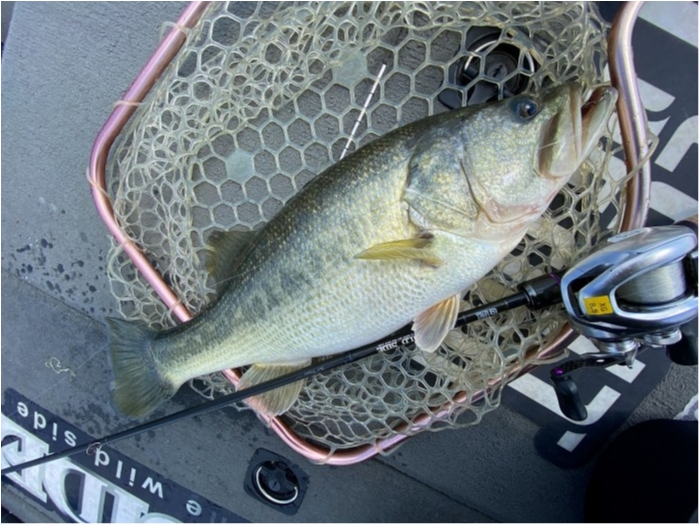 truth  ブログ写真 2020/03/17