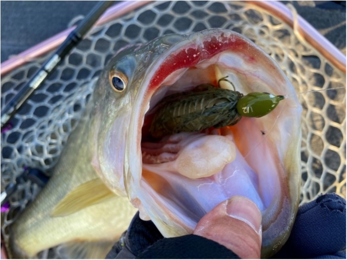 truth  ブログ写真 2020/03/18