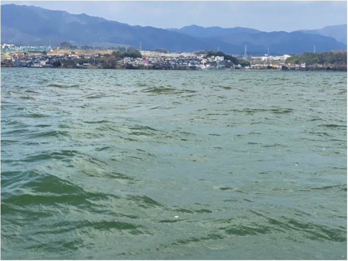 truth  ブログ写真 2020/03/18