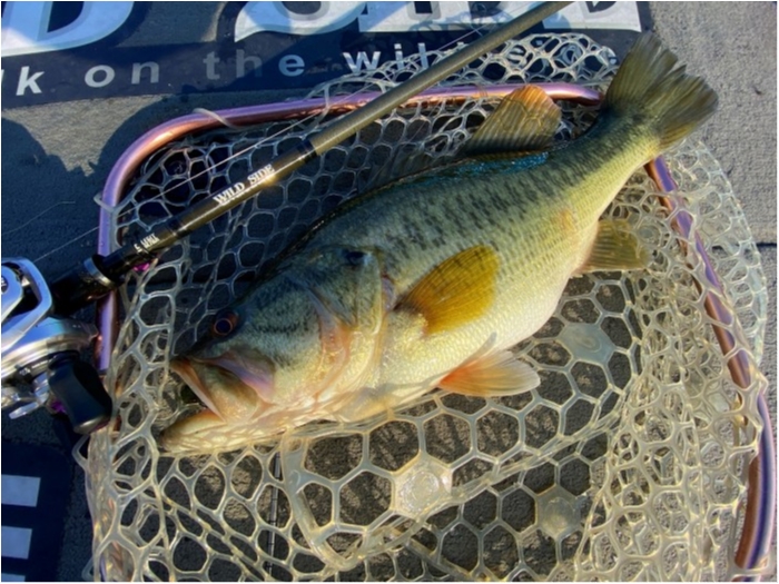 truth  ブログ写真 2020/03/19