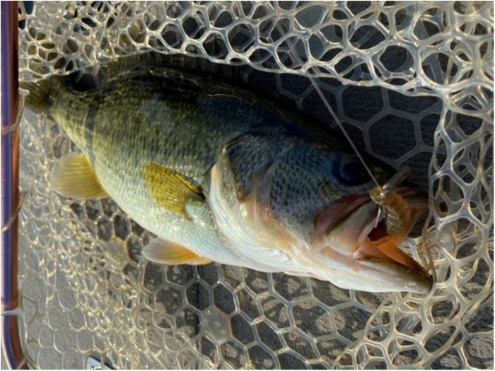 truth  ブログ写真 2020/03/19