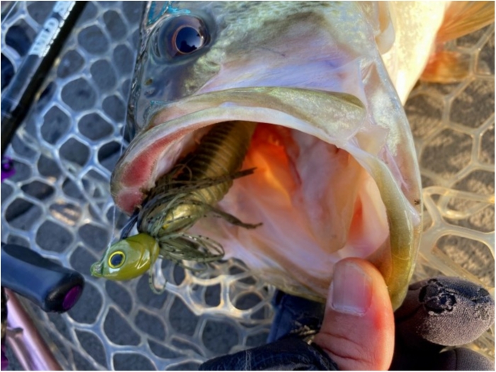 truth  ブログ写真 2020/03/19