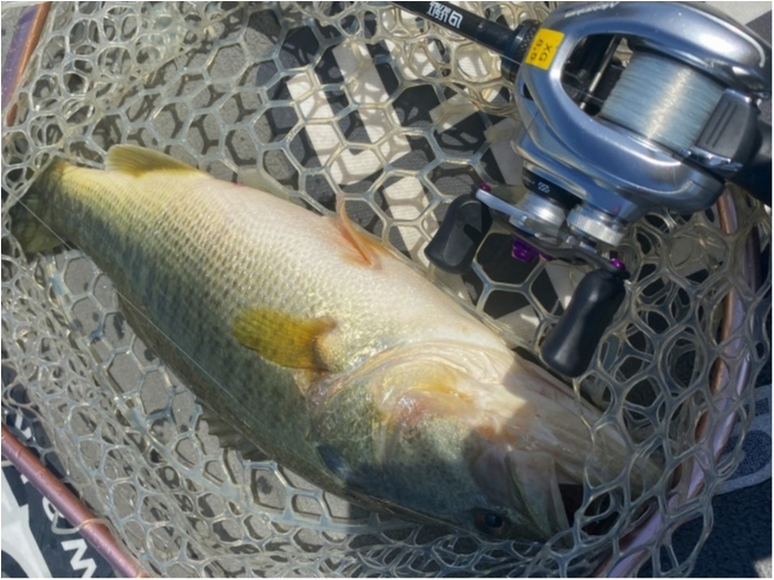 truth ブログ写真 2020/03/21