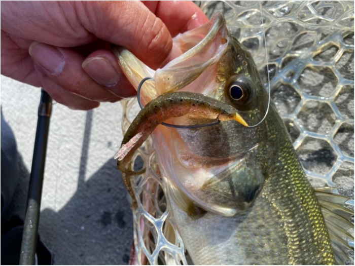 truth ブログ写真 2020/03/21