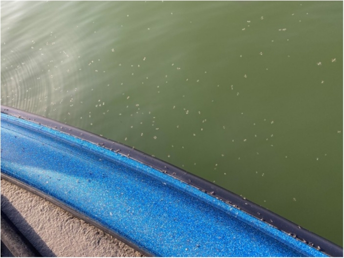 truth ブログ写真 2020/03/21